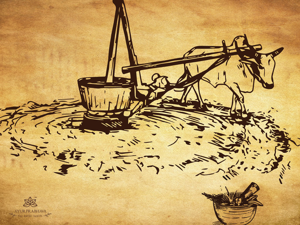 HOW DANTHAPALA OIL IS MADE ?