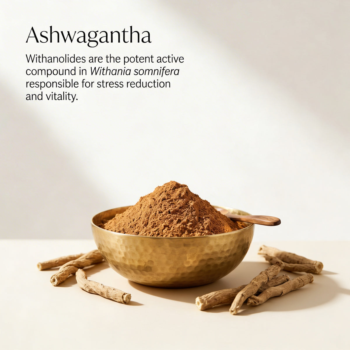 Ayurprabhava Ashwagandha - 60 capsules- Ayurvedic Medicine for Stress, Mental Health Boost, and Healthy Sleep