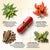 Herbolip - 60 capsules- Ayurvedic Medicine for Cholesterol Control