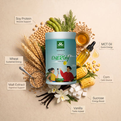Banpro-D - 500g - Ayurvedic energy supplement | Vanilla Flavour